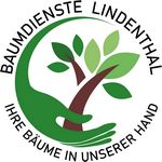 Baumdienste Lindenthal